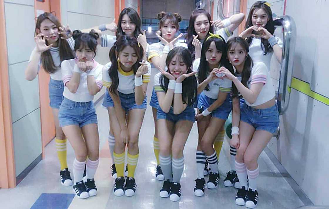 IOI members new group IOI members new group