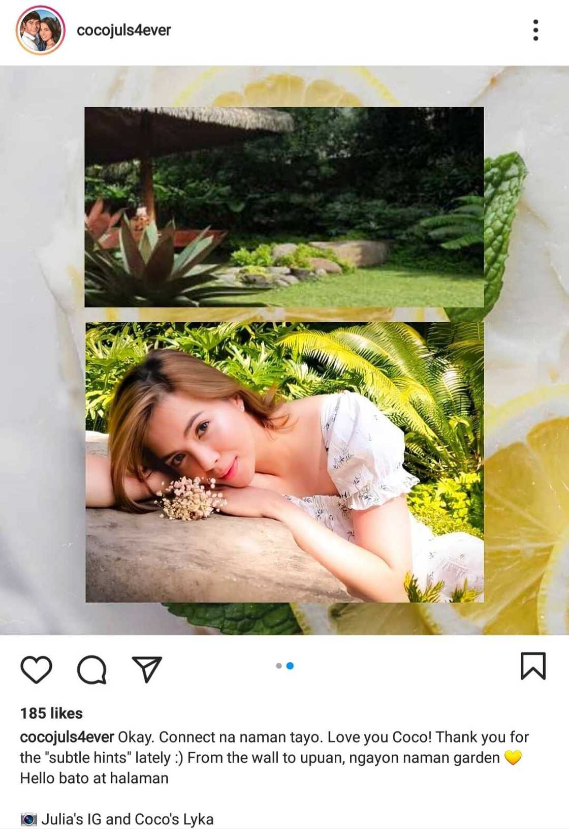 CocoJul fan account posts several similar garden photos of Julia Montes, Coco Martin CocoJul fan account posts several similar garden photos of Julia Montes, Coco Martin