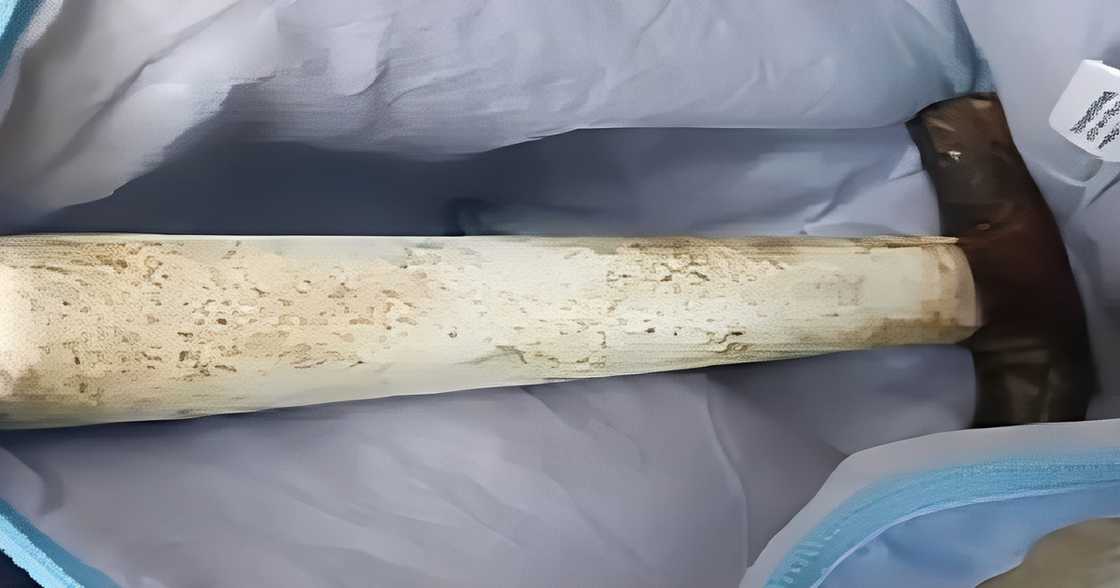 24-year-old hammered to death by ex-BF; victim allegedly splits with suspect on anniversary 24-year-old hammered to death by ex-BF; victim allegedly splits with suspect on anniversary