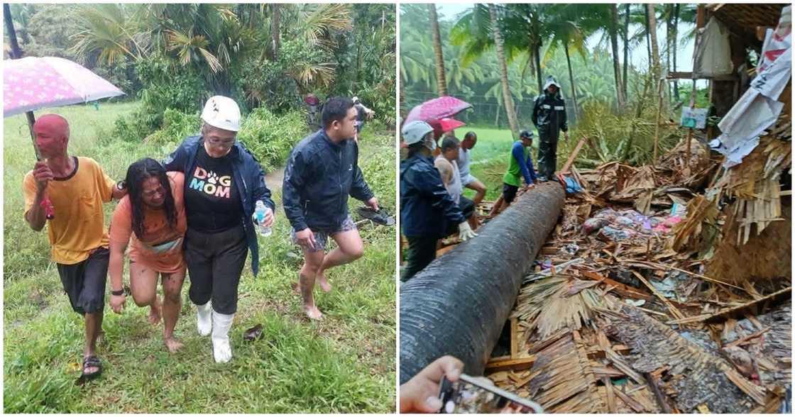 5 miyembro ng pamilya, patay nang mabagsakan ng puno ang kanilang bahay