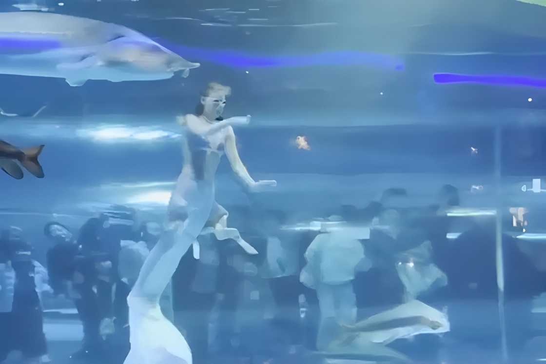 Russian performer, inatake ng higanteng isda habang nagtatanghal bilang sirena sa aquarium