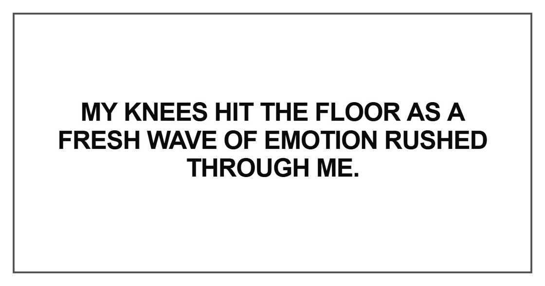 My knees hit the floor as a fresh wave of emotion rushed through me.