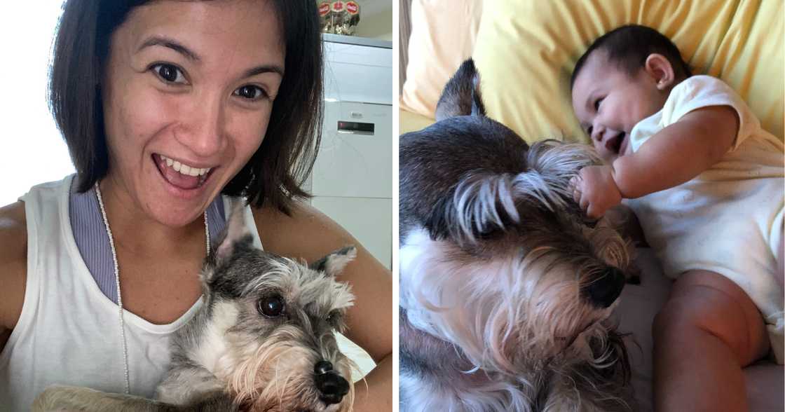 Camille Prats mourns beloved pet dog Gucci’s passing, pays emotional tribute
