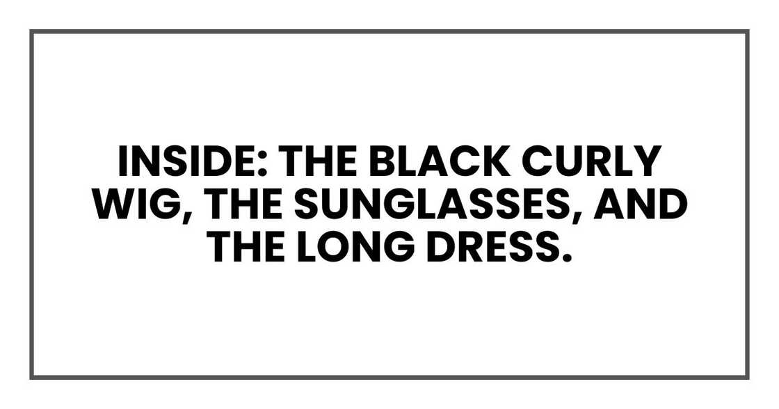 Inside: the black curly wig, the sunglasses, and the long dress.