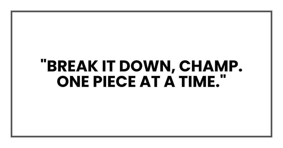 "Break it down, champ. One piece at a time."