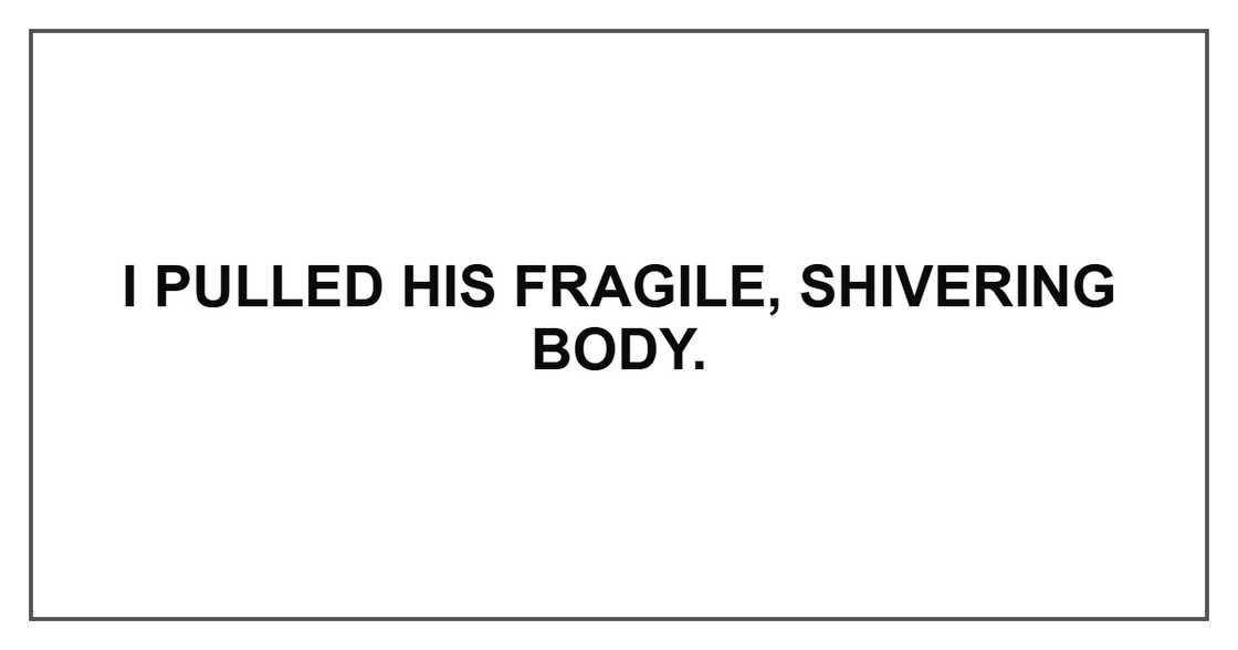I pulled his fragile, shivering body. I pulled his fragile, shivering body.