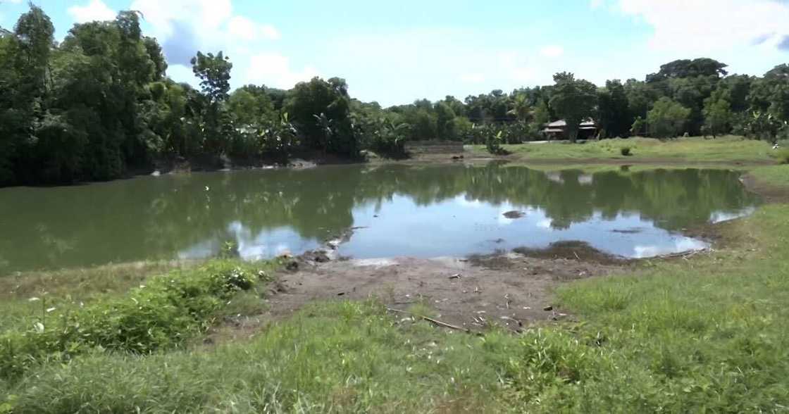 Mga batang nangunguha ng kuhol para pang-ulam, nalunod sa palaisdaan Mga batang nangunguha ng kuhol para pang-ulam, nalunod sa palaisdaan
