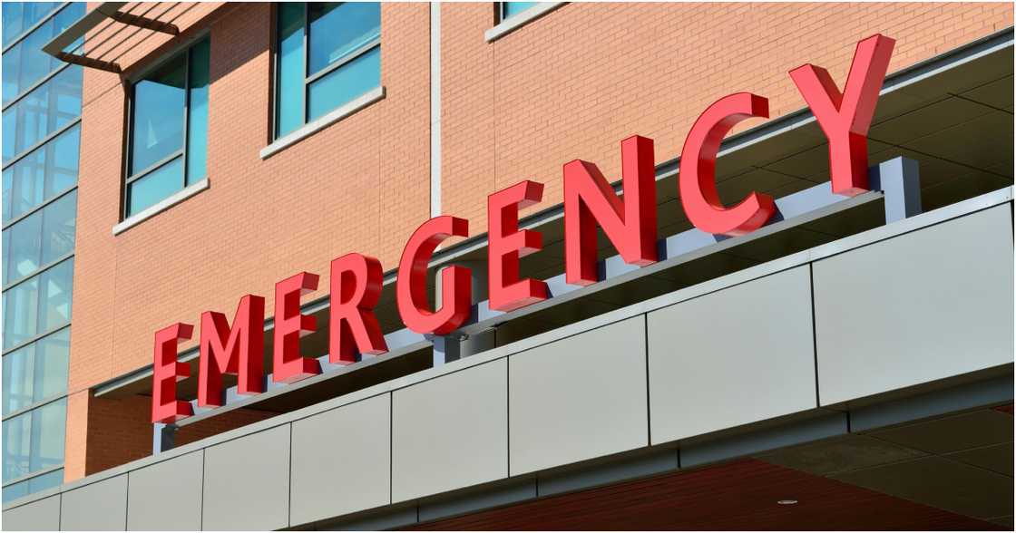 Pixabay on Pexels Pixabay on Pexels