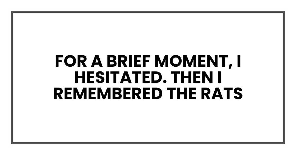 For a brief moment, I hesitated. Then I remembered the rats For a brief moment, I hesitated. Then I remembered the rats