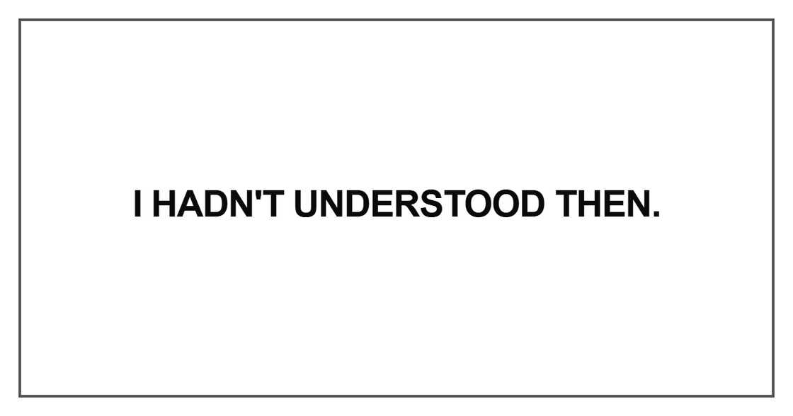 I hadn't understood then I hadn't understood then