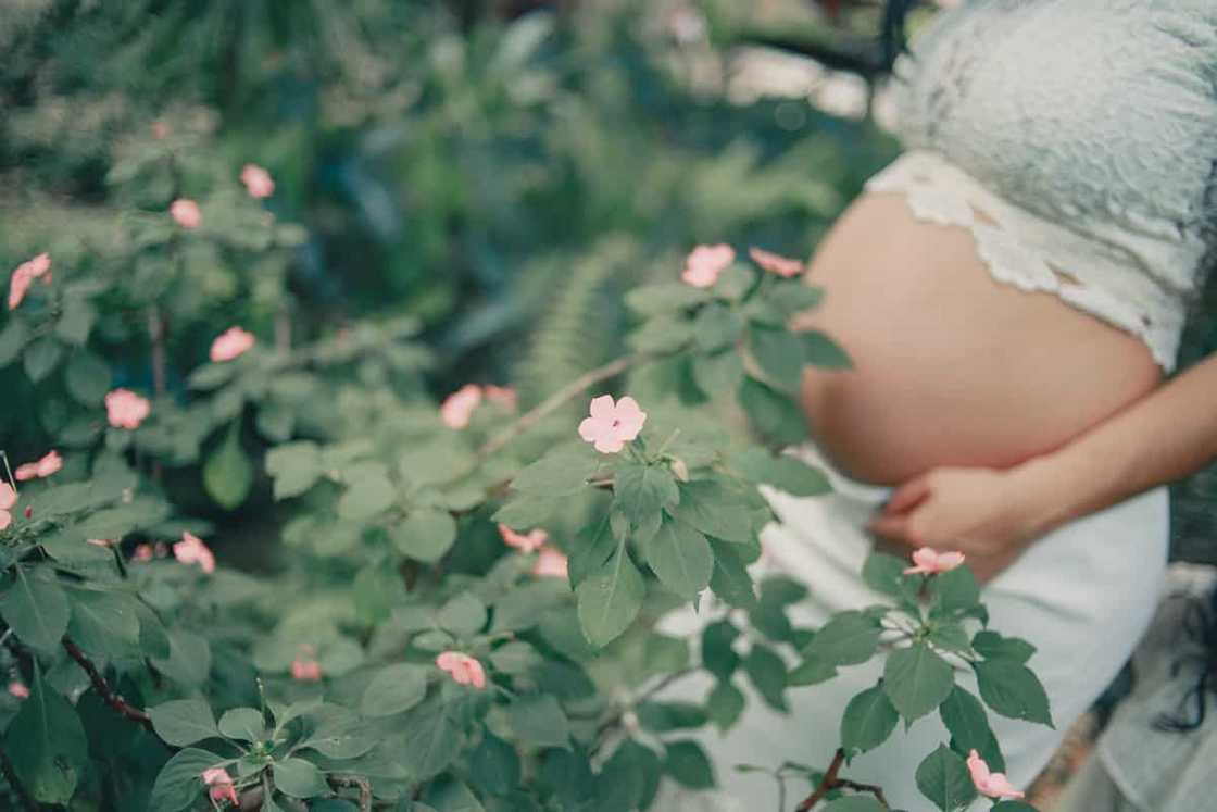 Pregnancy signs Pregnancy signs