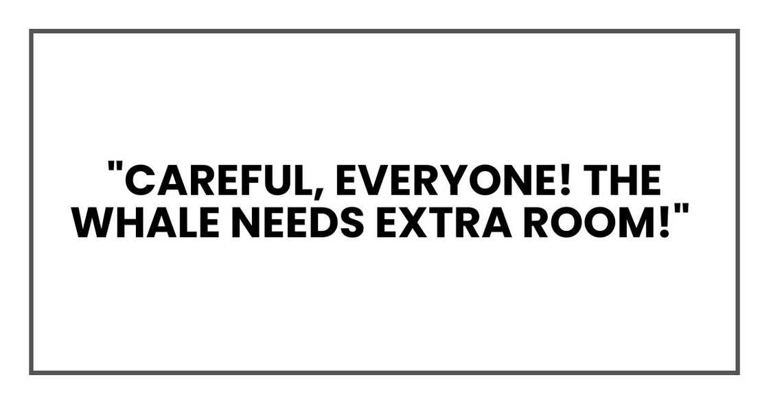 "Careful, everyone! Maya, the whale, needs extra room!" "Careful, everyone! Maya, the whale, needs extra room!"