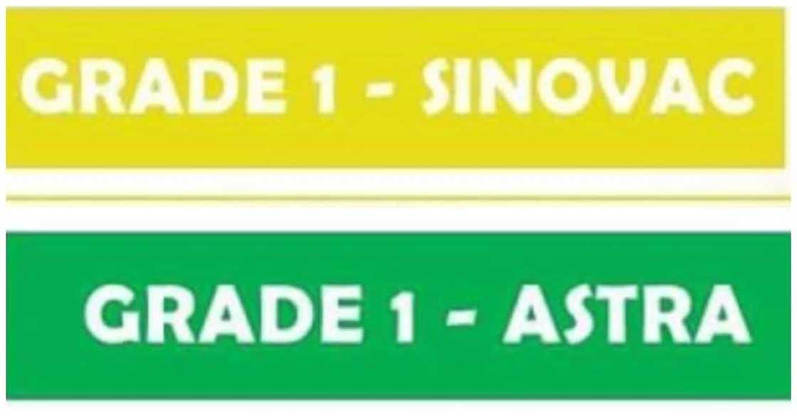 Mga COVID-19 vaccine na ginamit na section ng Grade 1 classes sa Valenzuela, viral Mga COVID-19 vaccine na ginamit na section ng Grade 1 classes sa Valenzuela, viral