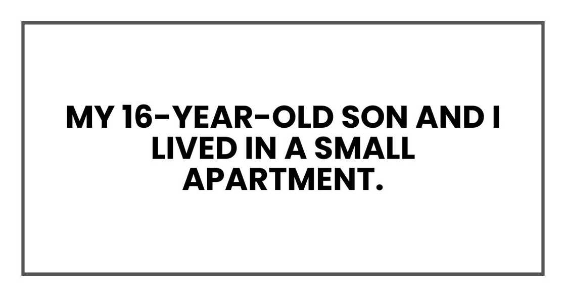 My 16-year-old son and I lived in a small apartment. My 16-year-old son and I lived in a small apartment.