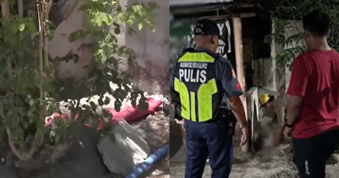 Sanggol Sanggol
