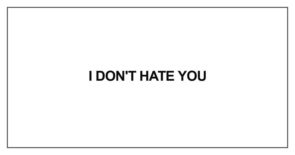 I don't hate you