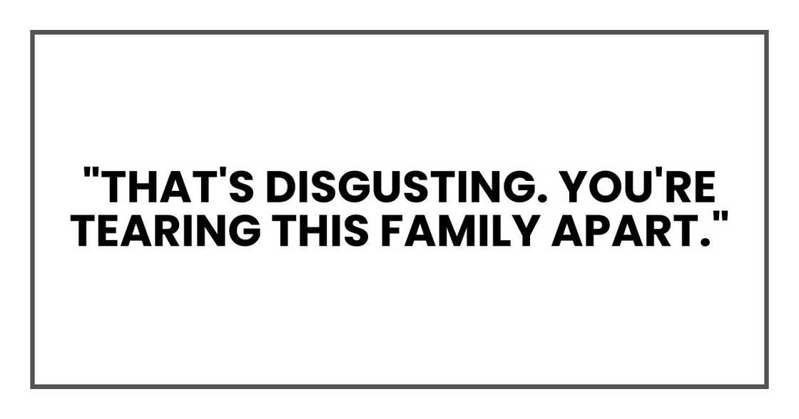 "That's disgusting. You're tearing this family apart."