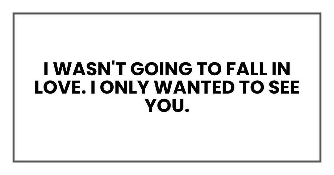I wasn't going to fall in love. I only wanted to see you.