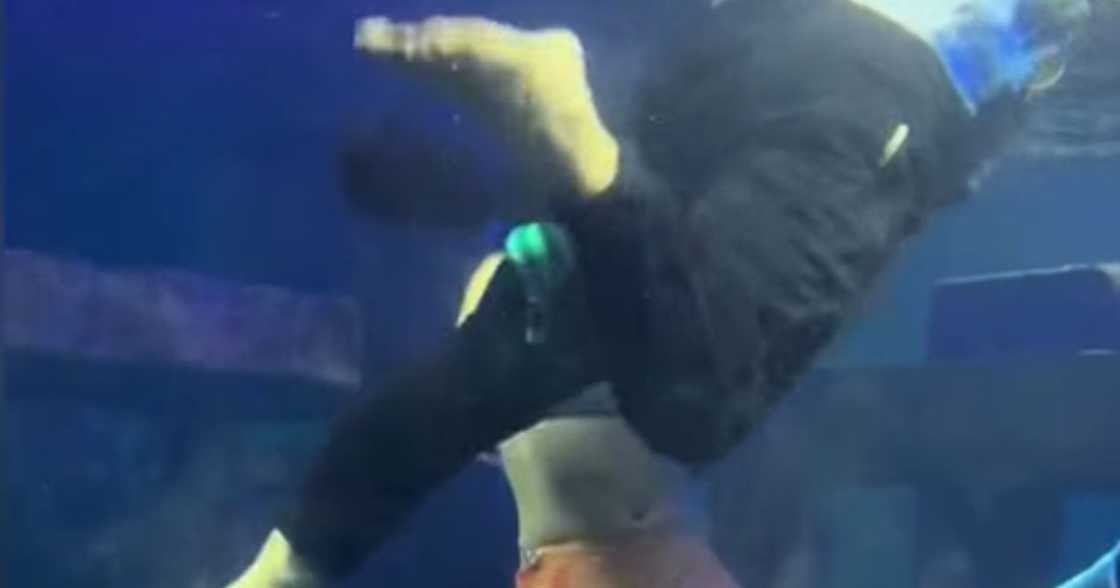 Photo: Screengrab from GMA News Photo: Screengrab from GMA News