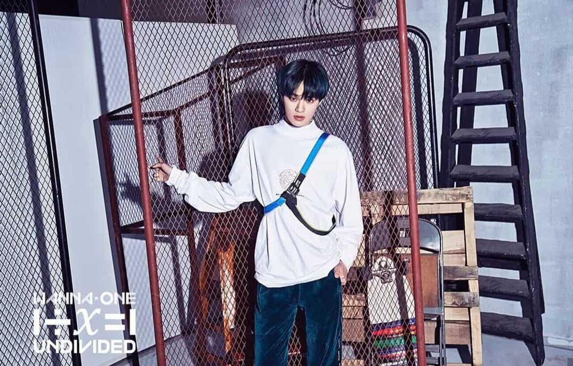 Wanna One members Wanna One members