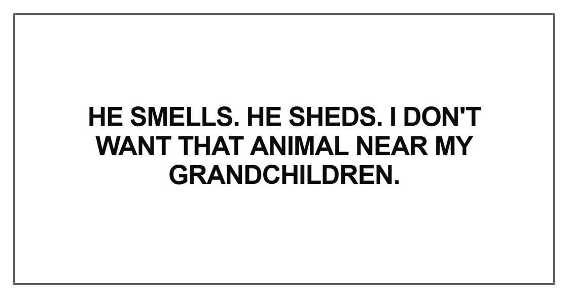 He smells. He sheds