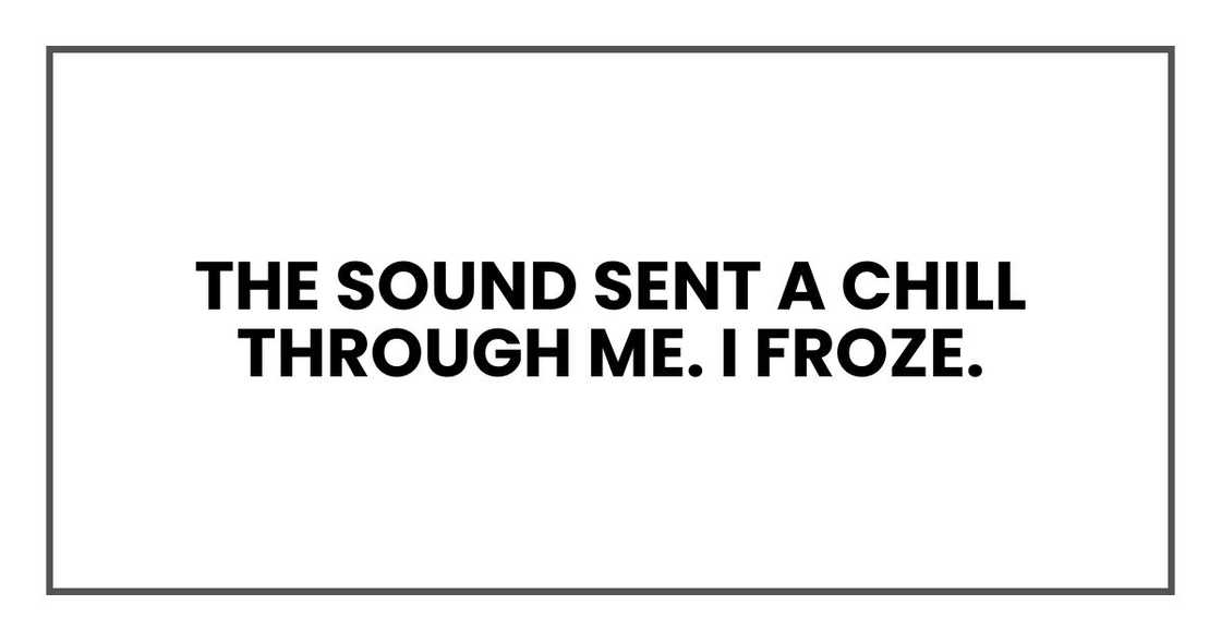 The sound sent a chill through me. I froze. The sound sent a chill through me. I froze.