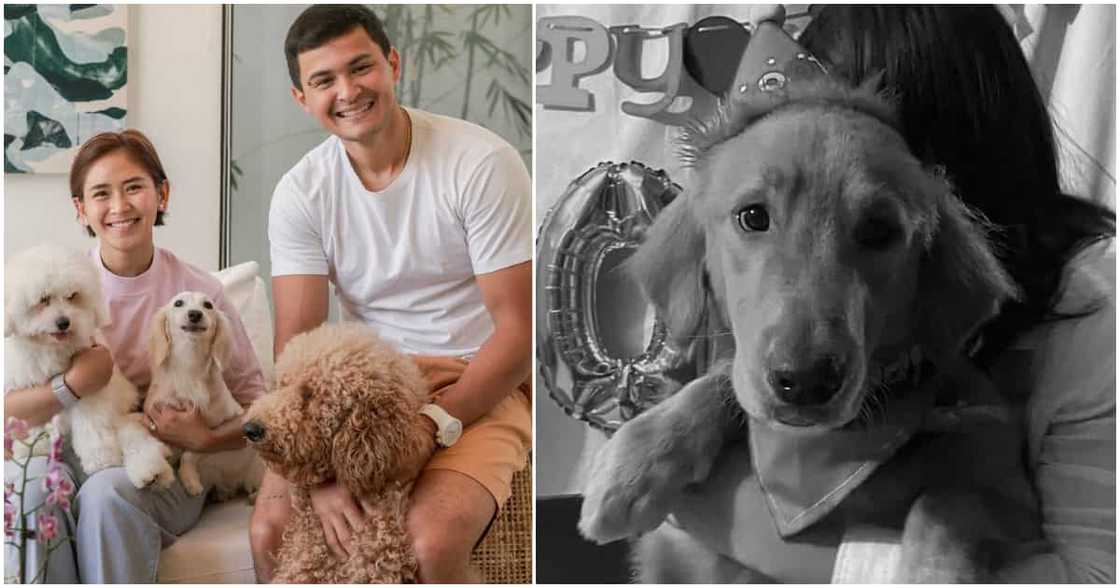 Sarah Geronimo sa pagpaslang sa asong si Killua: "This news is extremely heartbreaking" Sarah Geronimo sa pagpaslang sa asong si Killua: "This news is extremely heartbreaking"