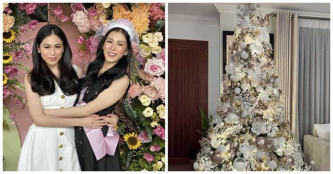 Alex Gonzaga, natalbugan ng kanyang Ate Toni sa family group chat Alex Gonzaga, natalbugan ng kanyang Ate Toni sa family group chat