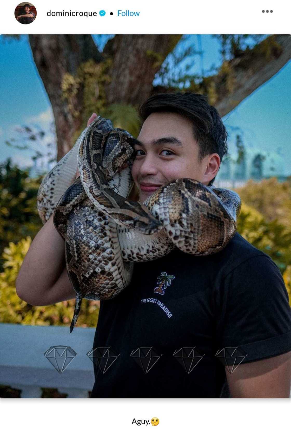 Dominic Roque posts photo of a snake around the neck amid Gerald Anderson-Julia Barretto's admission Dominic Roque posts photo of a snake around the neck amid Gerald Anderson-Julia Barretto's admission
