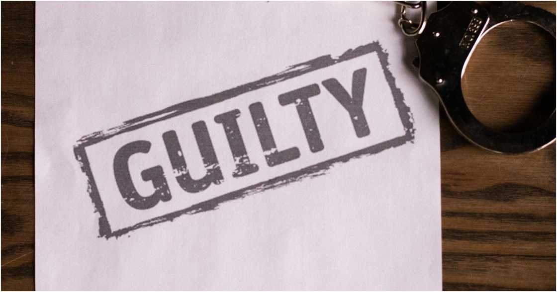 KATRIN BOLOVTSOVA on Pexels KATRIN BOLOVTSOVA on Pexels