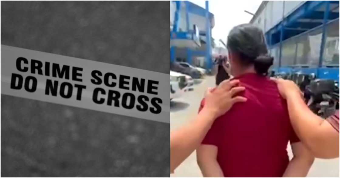 24-Oras/GMA-7/GMA Integrated News on YouTube
Mark D'aiuto on Pexels 24-Oras/GMA-7/GMA Integrated News on YouTube
Mark D'aiuto on Pexels