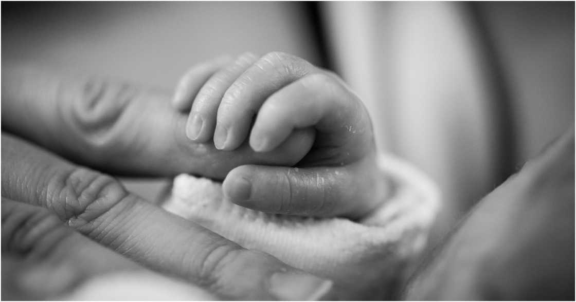 Pixabay on Pexels Pixabay on Pexels