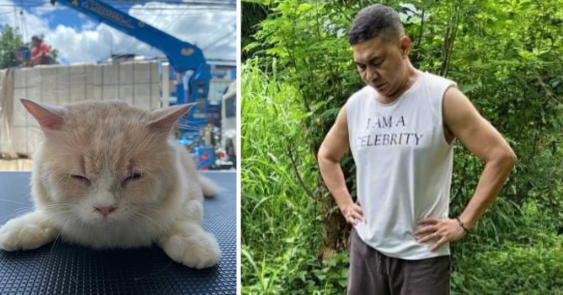Jose Manalo mourns death of beloved fur baby named Cookie Jose Manalo mourns death of beloved fur baby named Cookie
