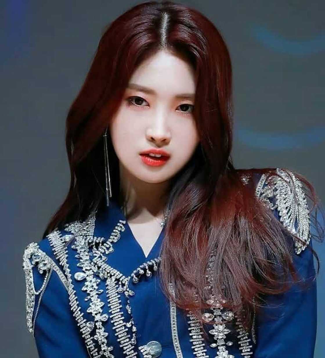 Everglow albums Everglow albums