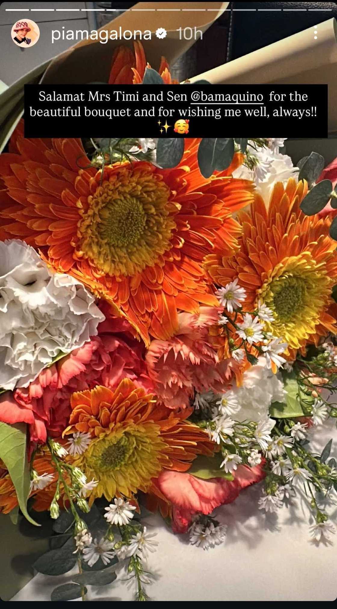 Pia Magalona expresses appreciation to Sen. Bam Aquino and wife for thoughtful birthday gift Pia Magalona expresses appreciation to Sen. Bam Aquino and wife for thoughtful birthday gift