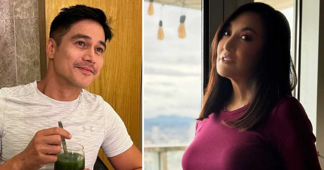 Celebrities gush over Sharon Cuneta's new stunning photos Celebrities gush over Sharon Cuneta's new stunning photos