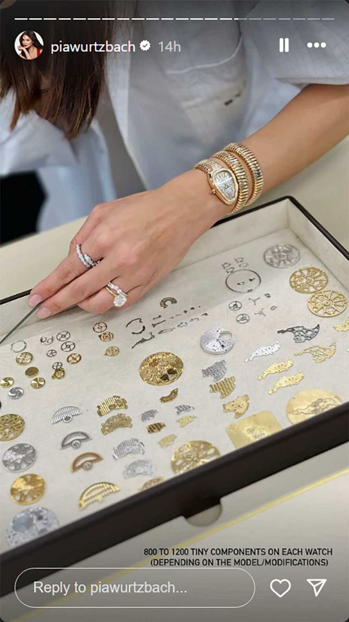 Pia Wurtzbach, namangha sa proseso ng paggawa ng Bvlgari watches: “800 to 1200 tiny components” Pia Wurtzbach, namangha sa proseso ng paggawa ng Bvlgari watches: “800 to 1200 tiny components”