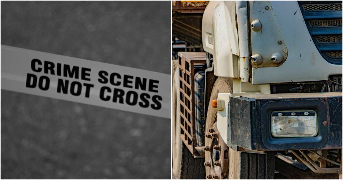 Shantum Singh on Pexels
Mark D'aiuto on Pexels Shantum Singh on Pexels
Mark D'aiuto on Pexels