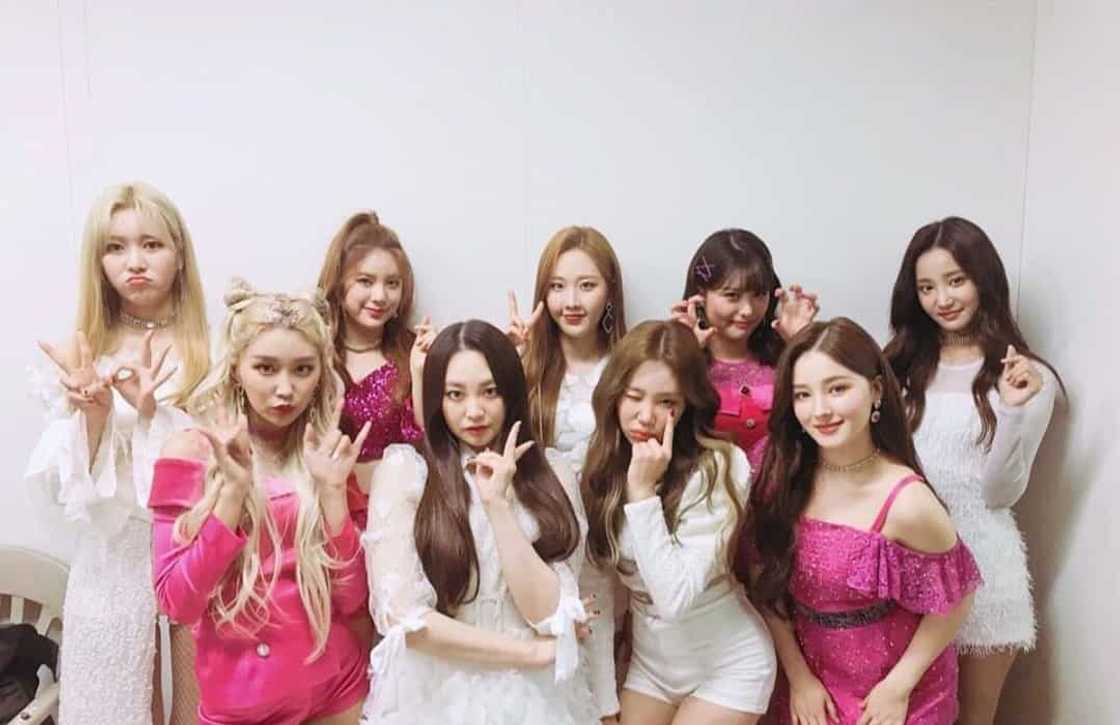 Momoland Members