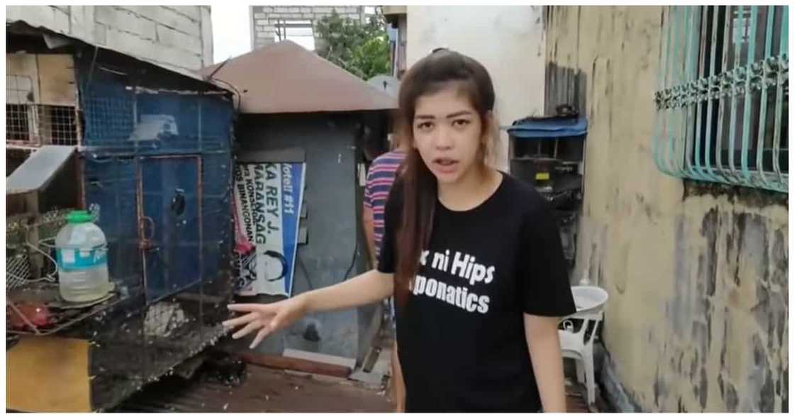 Herlene Budol, ipapagawa daw ng bubong nila ang kikitain sa vlog ni Toni Gonzaga Herlene Budol, ipapagawa daw ng bubong nila ang kikitain sa vlog ni Toni Gonzaga