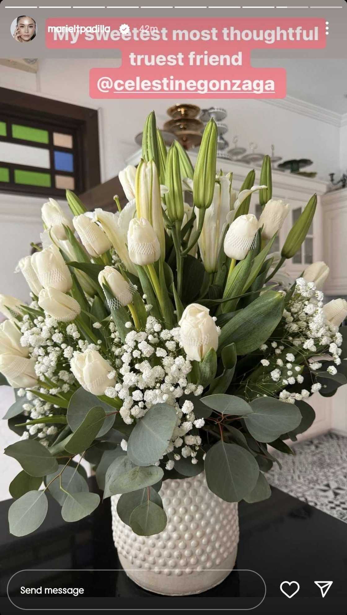 Mariel Padilla receives flowers and note from Toni Gonzaga amid 'IV drip' issue Mariel Padilla receives flowers and note from Toni Gonzaga amid 'IV drip' issue