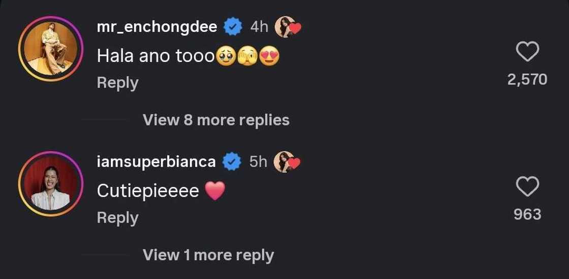 "Hala, ano 'to?": Enchong Dee, nag-react sa 'fangirl' video ni Alexa Ilacad