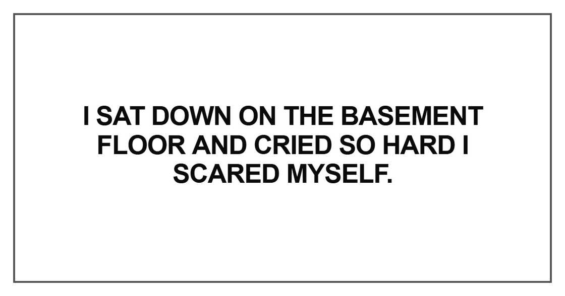 I sat down on the basement floor and cried so hard I scared myself I sat down on the basement floor and cried so hard I scared myself