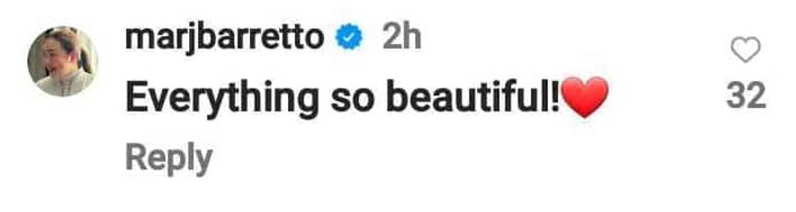 Marjorie Barretto gushes over Julia Barretto, Gerald Anderson’s travel photos taken in Denmark Marjorie Barretto gushes over Julia Barretto, Gerald Anderson’s travel photos taken in Denmark