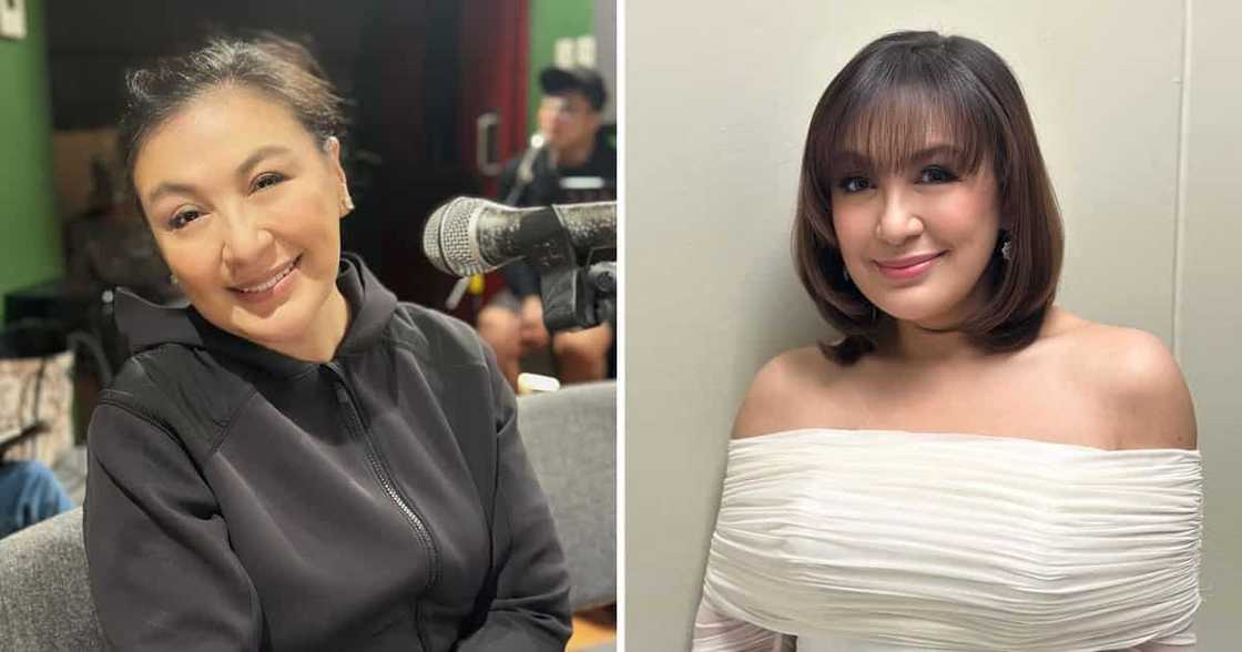 Sharon Cuneta, shinare isang quote ukol sa kung ano ang kaibahan ng “nice” sa isang “good person”