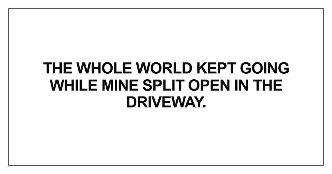 The whole world kept going while mine split open in the driveway The whole world kept going while mine split open in the driveway