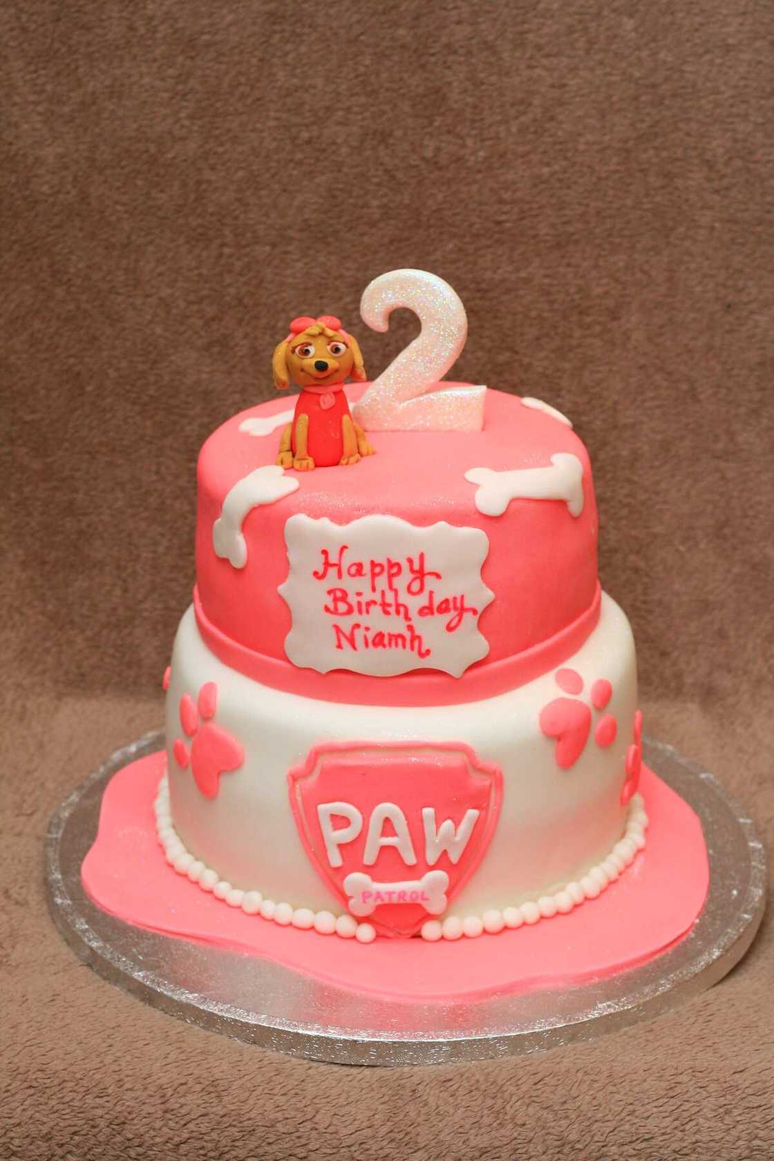 PAW Patrol cake design PAW Patrol cake design