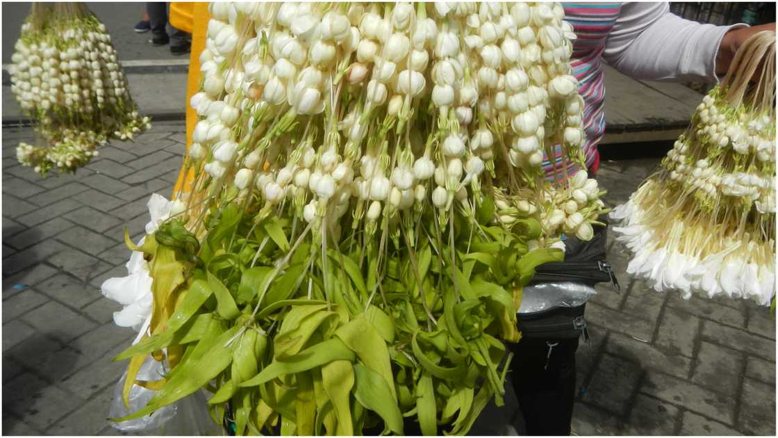 SM Megamall, inaksyunan ang nasa viral video ng sekyu at batang sampaguita vendor