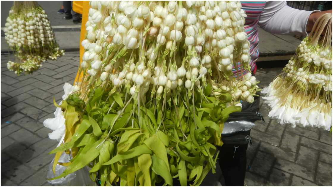 SM Megamall, inaksyunan ang nasa viral video ng sekyu at batang sampaguita vendor SM Megamall, inaksyunan ang nasa viral video ng sekyu at batang sampaguita vendor