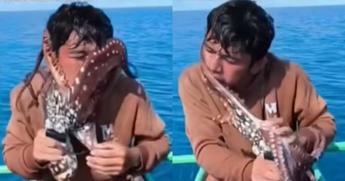 Mangingisda pugita Mangingisda pugita